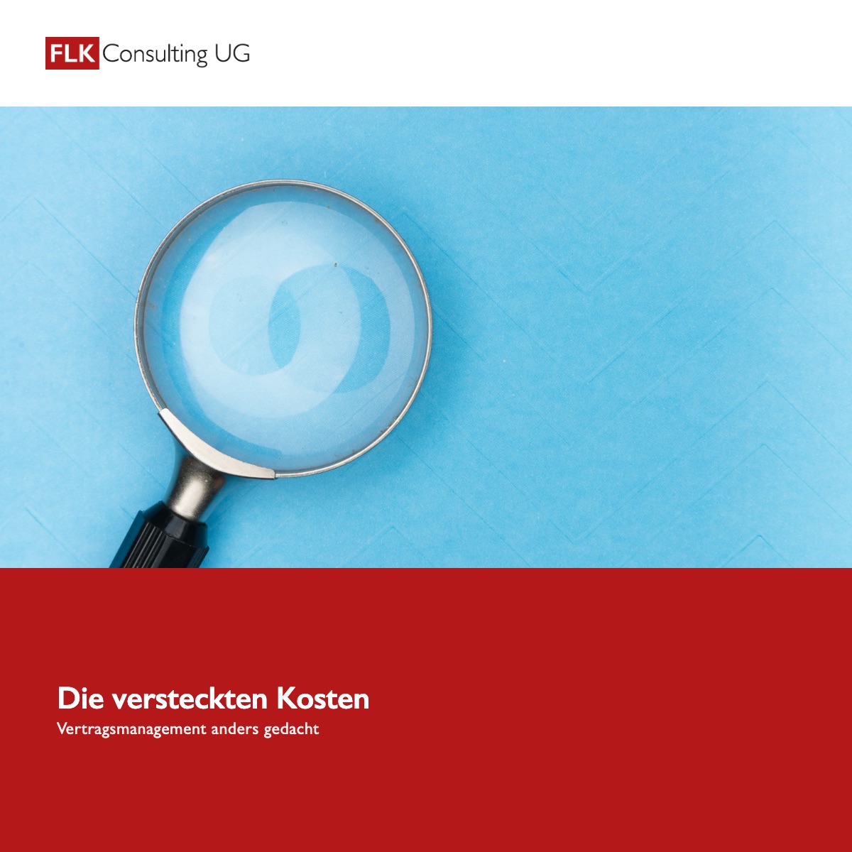 Lupe auf blauem Grund, darunter der Titel „Die versteckten Kosten“